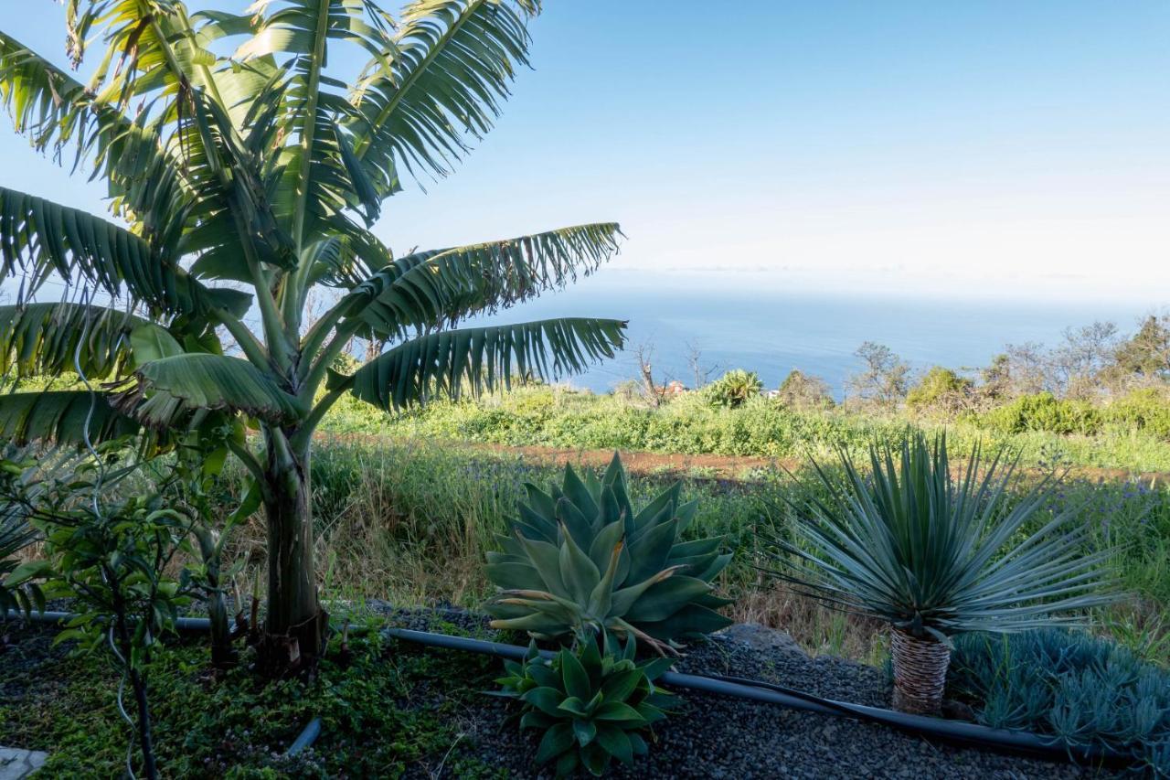 Hrlos Piratas - Ferien Haus La Palma - Good Wlan !! Tijarafe Exterior foto