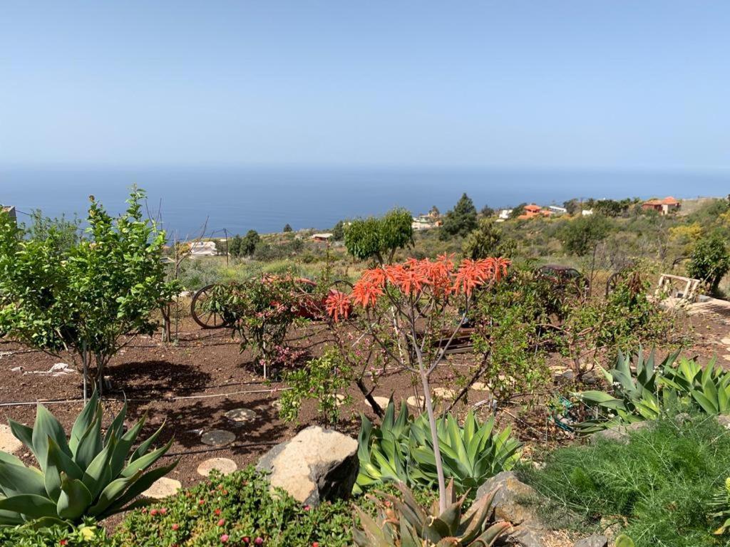 Hrlos Piratas - Ferien Haus La Palma - Good Wlan !! Tijarafe Exterior foto